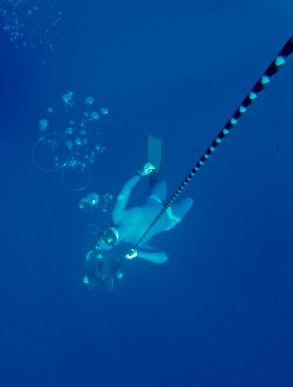 Bubble ring blowing training to end an epic freediving session just makes it even more epic.