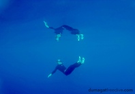 Mirror, mirror... who's the silliest freediver of them all?