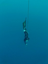 Alexis working on his technique during the training camp with Omniblue Freedive.
