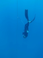 Hats off to Laura for diving to 37 meters (121 feet) on a single breath today! A true watergirl. Just 3 more seconds of freefall before the proper celebration!